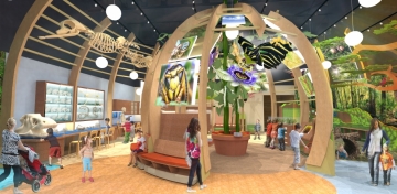 Discovery Zone by Skolnick